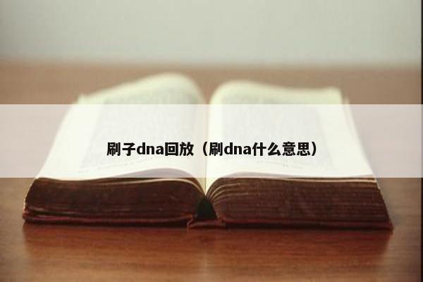 刷子dna回放（刷dna什么意思）