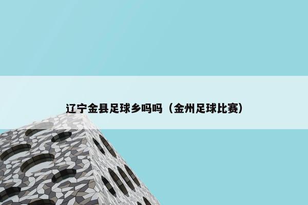 辽宁金县足球乡吗吗（金州足球比赛）