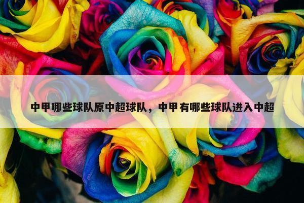 中甲哪些球队原中超球队，中甲有哪些球队进入中超