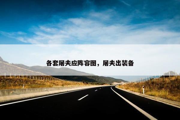 各套屠夫应阵容图，屠夫出装备