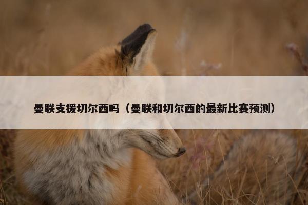 曼联支援切尔西吗（曼联和切尔西的最新比赛预测）