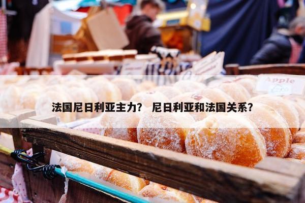 法国尼日利亚主力？ 尼日利亚和法国关系？