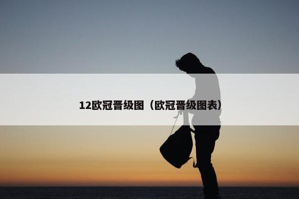 12欧冠晋级图（欧冠晋级图表）