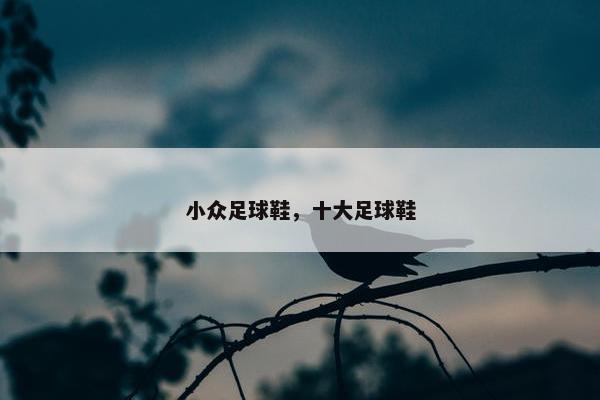 小众足球鞋，十大足球鞋