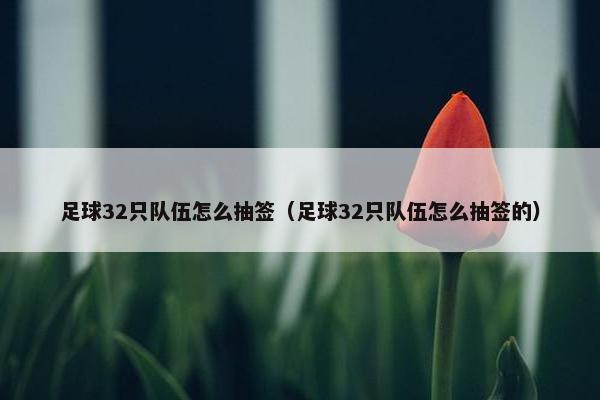 足球32只队伍怎么抽签（足球32只队伍怎么抽签的）
