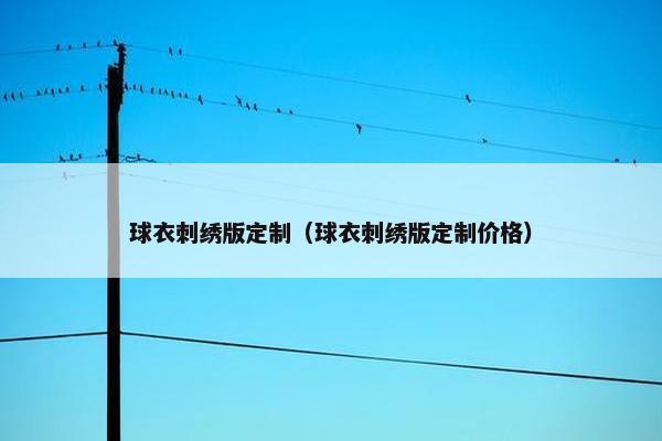球衣刺绣版定制（球衣刺绣版定制价格）