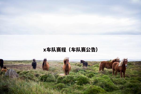 x车队赛程（车队赛公告）