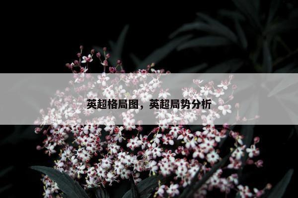 英超格局图，英超局势分析