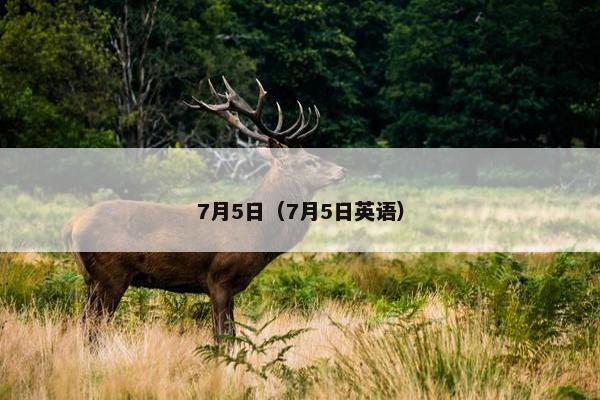 7月5日（7月5日英语）
