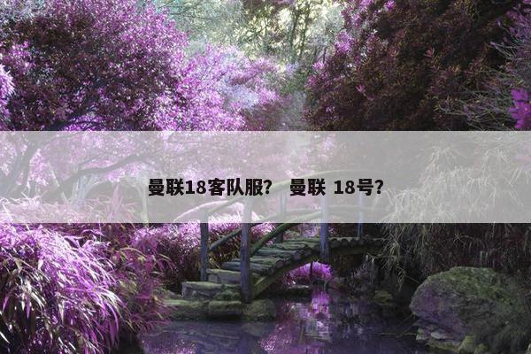 曼联18客队服？ 曼联 18号？