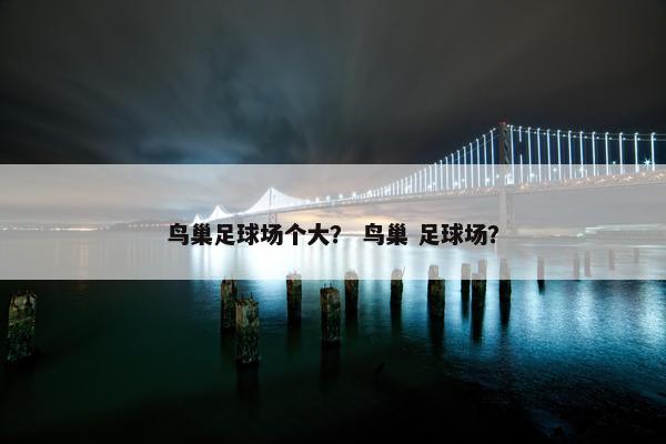 鸟巢足球场个大？ 鸟巢 足球场？