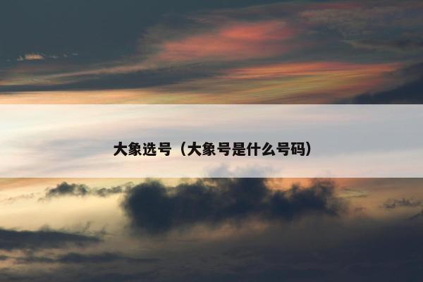 大象选号（大象号是什么号码）