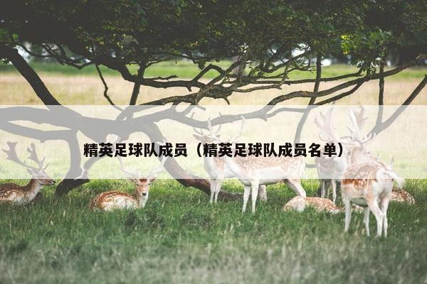 精英足球队成员（精英足球队成员名单）