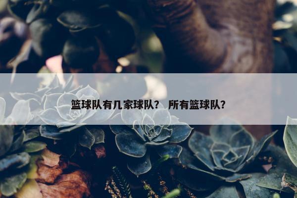 篮球队有几家球队？ 所有篮球队？