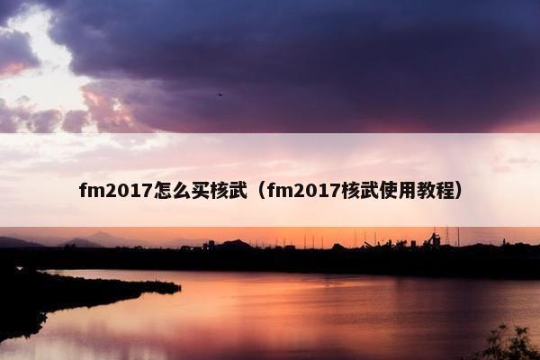 fm2017怎么买核武（fm2017核武使用教程）