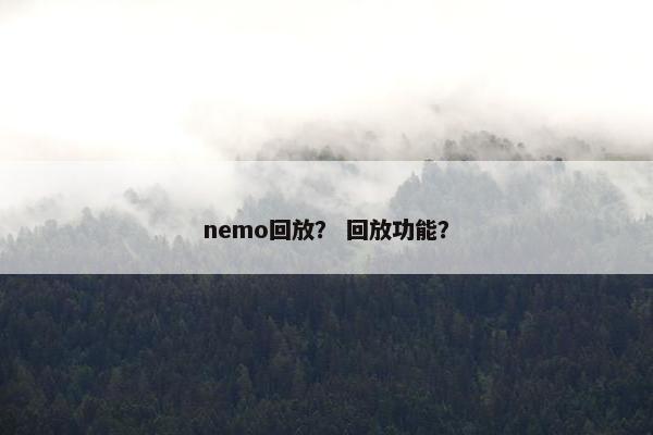 nemo回放？ 回放功能？