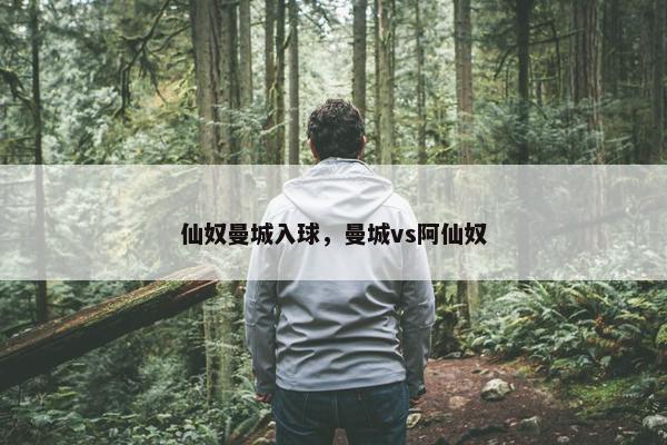 仙奴曼城入球，曼城vs阿仙奴