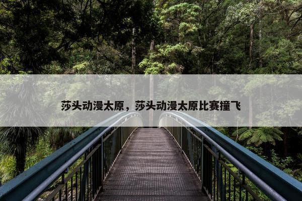 莎头动漫太原，莎头动漫太原比赛撞飞