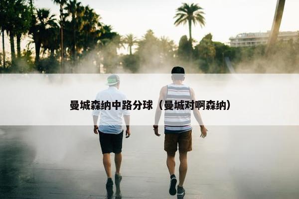 曼城森纳中路分球（曼城对啊森纳）