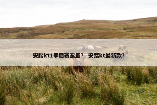 安踏kt1季后赛鸳鸯？ 安踏kt最新款？