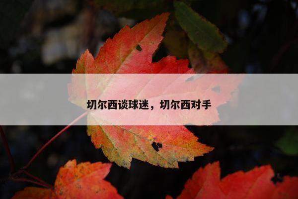 切尔西谈球迷，切尔西对手