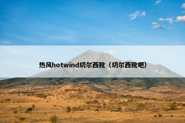 热风hotwind切尔西靴（切尔西靴吧）