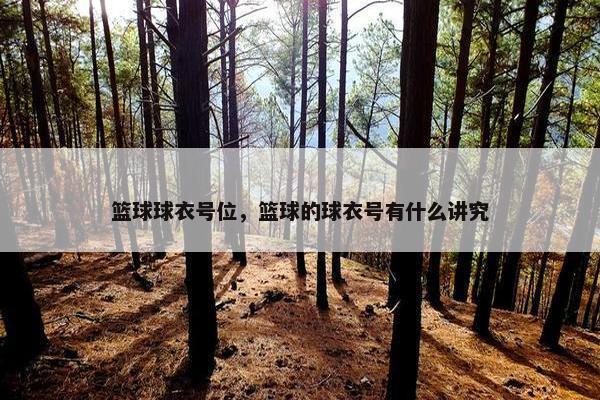 篮球球衣号位，篮球的球衣号有什么讲究