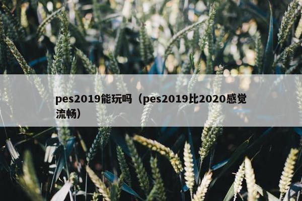 pes2019能玩吗（pes2019比2020感觉流畅）