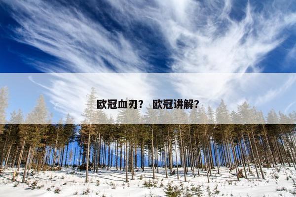 欧冠血刃？ 欧冠讲解？