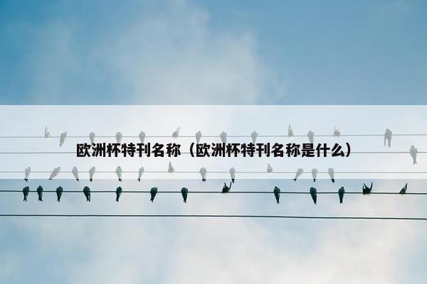 欧洲杯特刊名称（欧洲杯特刊名称是什么）