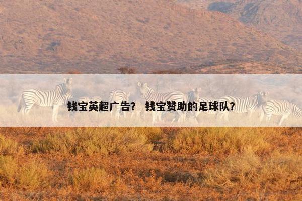 钱宝英超广告？ 钱宝赞助的足球队？
