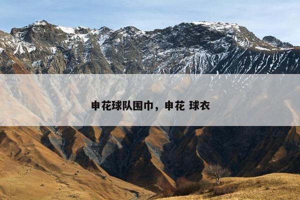 申花球队围巾，申花 球衣