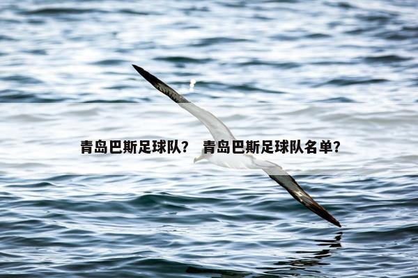 青岛巴斯足球队？ 青岛巴斯足球队名单？