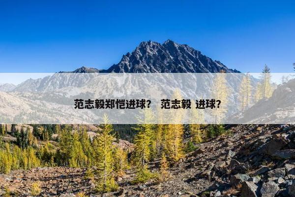 范志毅郑恺进球？ 范志毅 进球？