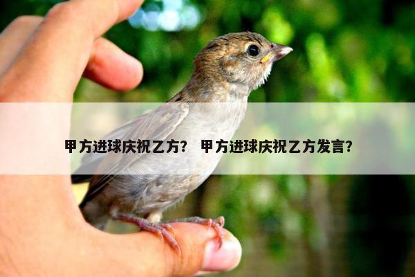 甲方进球庆祝乙方？ 甲方进球庆祝乙方发言？