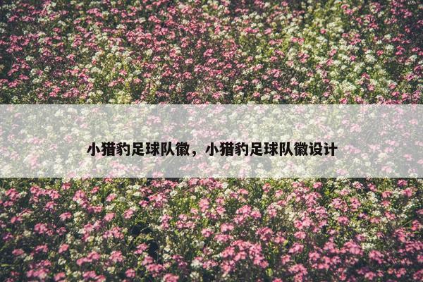 小猎豹足球队徽，小猎豹足球队徽设计
