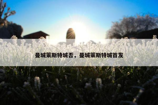 曼城莱斯特城否，曼城莱斯特城首发