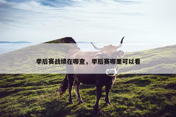 季后赛战绩在哪查，季后赛哪里可以看