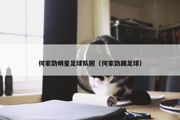 何家劲明星足球队照（何家劲踢足球）
