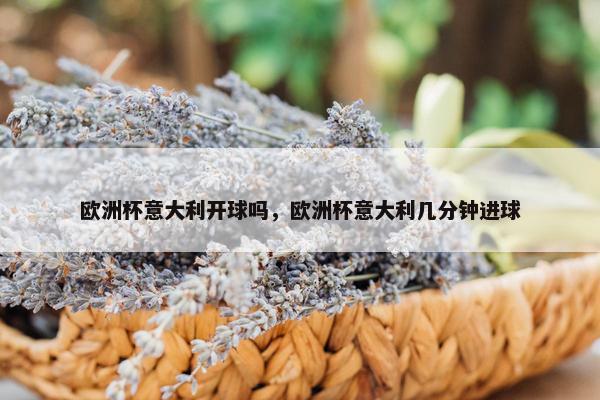 欧洲杯意大利开球吗，欧洲杯意大利几分钟进球