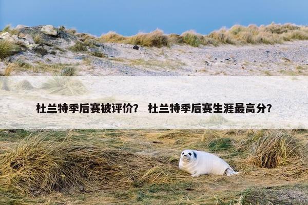 杜兰特季后赛被评价？ 杜兰特季后赛生涯最高分？