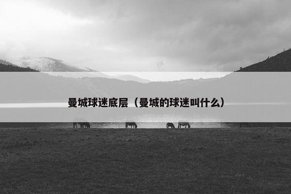 曼城球迷底层（曼城的球迷叫什么）