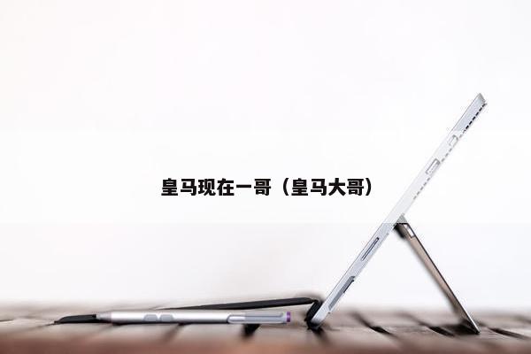 皇马现在一哥（皇马大哥）
