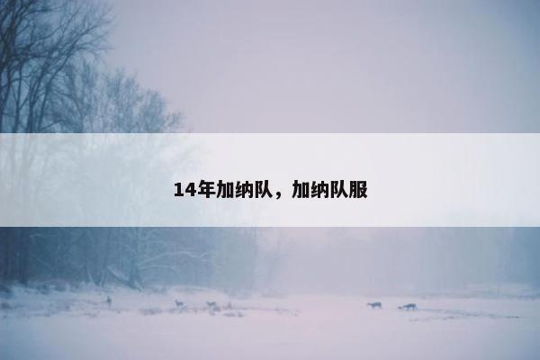 14年加纳队，加纳队服