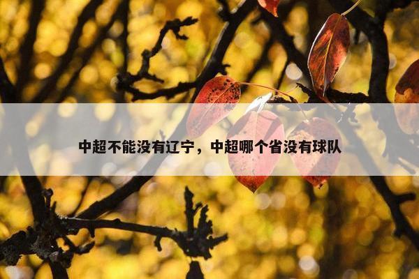 中超不能没有辽宁，中超哪个省没有球队