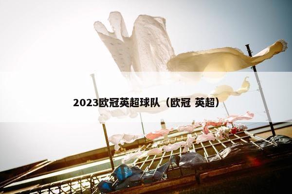 2023欧冠英超球队（欧冠 英超）