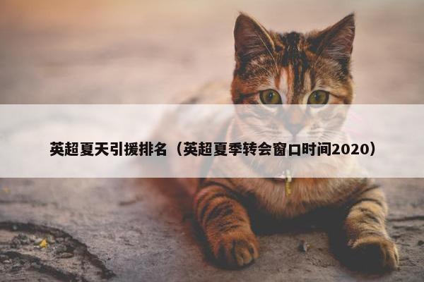 英超夏天引援排名（英超夏季转会窗口时间2020）