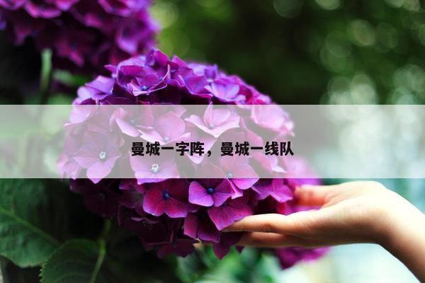曼城一字阵，曼城一线队