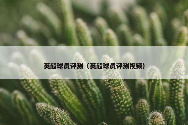 英超球员评测（英超球员评测视频）