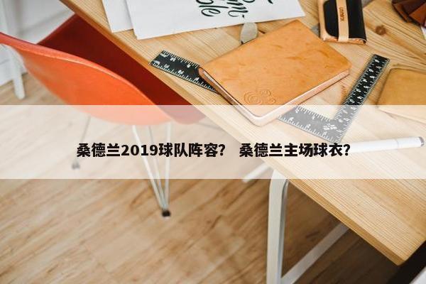 桑德兰2019球队阵容？ 桑德兰主场球衣？